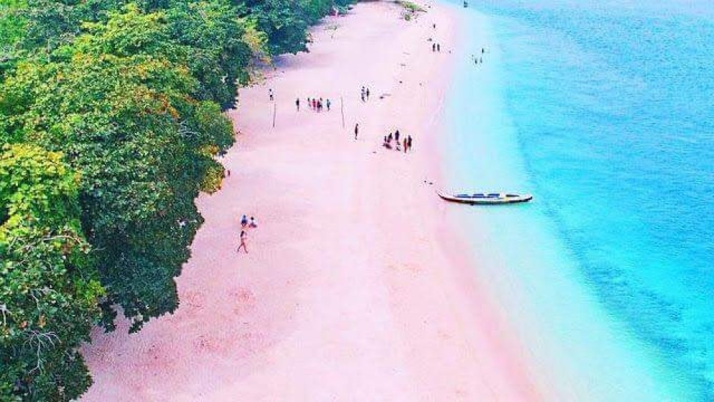 フィリピンのピンクビーチ特集 セブ島情報 デイリーマガジン エキサイトセブ